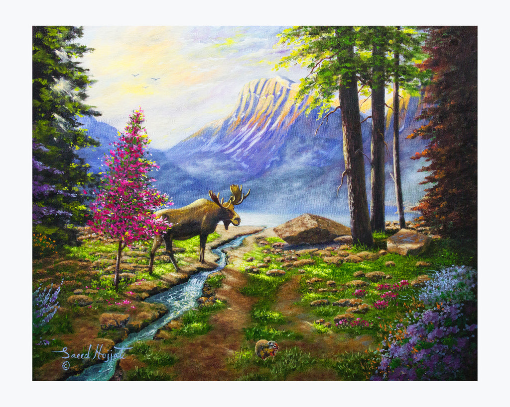 Moose Calls at Bow Mountain