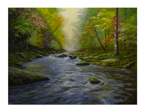 The River